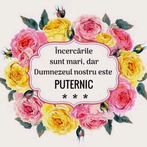 Meet your Posher, Daniella